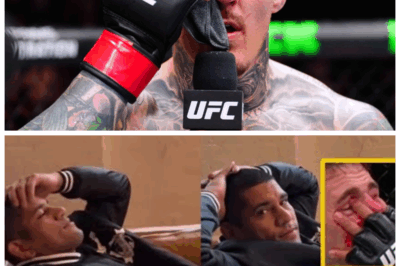 🐘 Alex Pereira EXPLODES over Tom Aspinall vs Ciryl Gane NO CONTEST fiasco! 🔥 “Nothing screams ‘legendary’ like a fight that never really happened.” Dive into the explosive aftermath as Pereira unveils the brutal truth behind the scenes—betrayal, broken promises, and a scandal so deep it could shatter careers and ignite a UFC meltdown of epic proportions! 👇