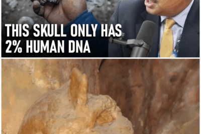 “Not Human. Not Neanderthal.” The Greek Skull That Shouldn’t Exist—and Why Scientists Are Losing Sleep