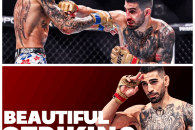 🐘 Witness 3 Minutes and 19 Seconds of Ilia Topuria’s Beautiful Striking unfold in an electrifying display of precision, power, and artistry that leaves opponents shattered and fans breathless, turning the cage into a stage for a tragic masterpiece of dominance and heartbreak! 🎯 “Because beauty and brutality are just two sides of the same coin.” ⚔️👇