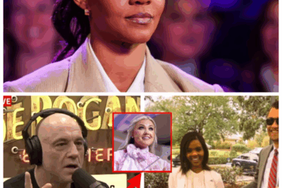🐘⚡ Joe Rogan’s Shocking Confession: How Candace Owens’ Warning to Charlie Kirk Unveils a Dark, Twisted Game of Power and Betrayal! 💥 The explosive details behind the scenes reveal a tense showdown filled with secrets, backstabbing, and a warning that could change everything. “Sometimes the closest allies deliver the deadliest blows.” 👇