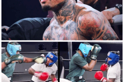 🐘 Gervonta Davis’s Savage WAR Sparring Session with a HEAVYWEIGHT Beast Ahead of Jake Paul Fight—FULL VIDEO Unleashes Raw Power and Heart! 🔥 Watch the electrifying footage capturing Davis’s grit and determination as he battles a towering heavyweight, shattering expectations and stirring controversy—“Because size isn’t everything when heart’s involved!” 💣👇