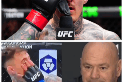 🐘 Dana White DROPS BOMBSHELL on Tom Aspinall vs Ciryl Gane eye poke disaster ending! ⚡ “Apparently, the real knockout was delivered outside the octagon.” Dive into the explosive fallout as White reveals the ugly truth behind the controversial finish, exposing broken trust, simmering rivalries, and a psychological meltdown that could shatter the UFC’s fragile peace forever! 👇