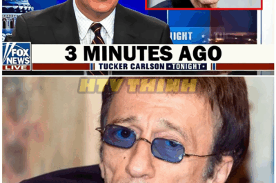 🦊 “THE SECRET HE TOOK TO THE BRINK OF HIS FINAL DAYS!” — At 61, Robin Gibb Finally Broke His Silence on the Rumors That Terrified Fans and Rocked the Music World to Its Core 😱🎤