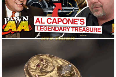 💰 Locked-Up Loot & Mobster Treasures | Pawn Stars 🔥 What Did Rick Harrison Just Uncover From The Underworld?