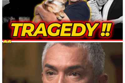 👑 What Happened to Cesar Millan?