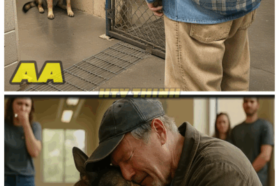 🐶 The Shelter Dog Began to Cry When He Recognized the Man Standing in Front of Him! 😭❤️