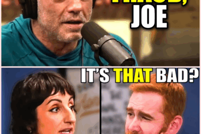 Shocking Revelations from Comedians About Joe Rogan’s Controversial Comedy Club!