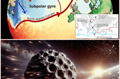 NASA MISSED IT! Asteroid Skims Just 300 Miles from Earth — Closer Than the Space Station