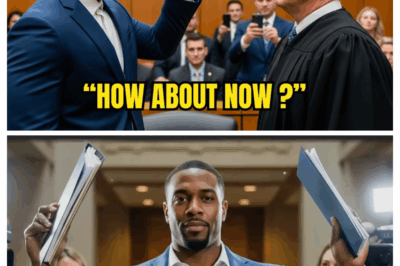 👑 Judge Gave a Black Man a Harsh Sentence — Then Froze in Shock After Learning Who He Really Was! ⚖️