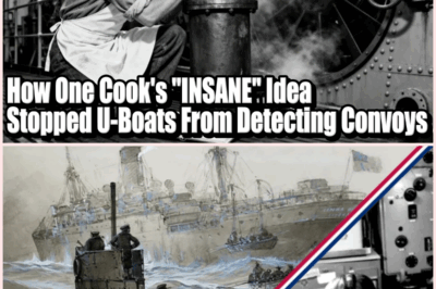 The Unbelievable Story of How a Ship’s Cook Outsmarted U-Boats and Changed Naval Warfare Forever!