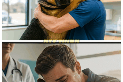 😢 The Dying Dog Hugged His Owner One Last Time… But What the Vet Found Next Left Everyone In Tears! 🐾💉