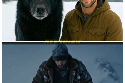 He Rescued a ‘Puppy’ From a Blizzard. It Grew Into Something Terrifying!