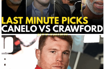 Pros FINAL Minute PICKS For Crawford vs Canelo Fight