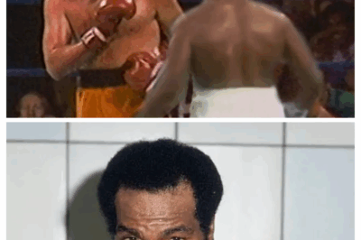 When Hollywood Actor Challenged Earnie Shavers