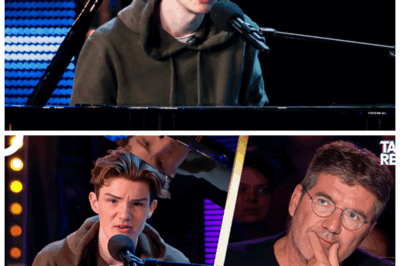 🐘 The Shocking Moment Britain’s Got Talent Judges Were Reduced to Tears by Harry Gardner’s Emotional Song 🎶 — What made this performance so devastatingly powerful? A revelation of personal loss, resilience, and hope that struck a chord nobody saw coming! “Sometimes, the loudest cries come from the quietest voices,” 👇