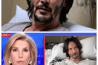 🐘 The Heartbreaking Collapse of Keanu Reeves at 60: Secrets, Scandals, and a Devastating Tale That Will Tear Your Heart Apart 😢 — Behind the calm, stoic facade lies a world of shattered dreams and unbearable sorrow, as Keanu Reeves’ life unravels in a tragedy darker than any blockbuster plot. “Fame can’t shield you from the cruelest twists of fate.” 👇