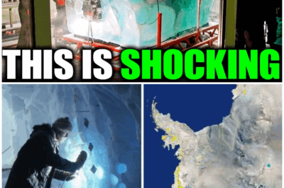 The Shocking Revelation of a 40,000-Year-Old Ice Coffin: How One Discovery Could Rewrite Our Understanding of Early Human Culture!