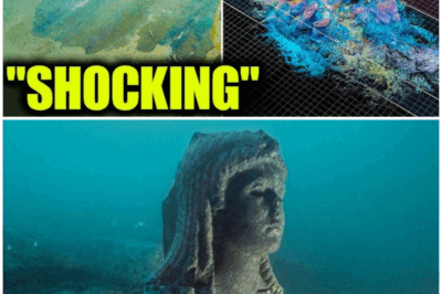 The Groundbreaking Discovery of Cleopatra’s Tomb: How One Woman’s 20-Year Quest Could Rewrite History Forever—You Won’t Believe What They Found!