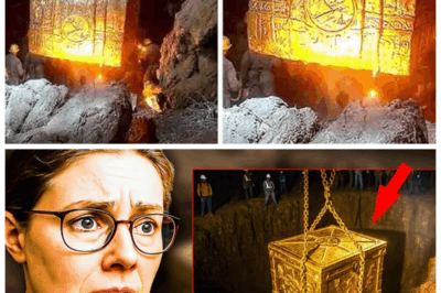 🚨 “This Chamber Could Change Everything We Thought We Knew!” — Emma Culligan’s Groundbreaking Oak Island Find Sends Shockwaves Worldwide! 🚨 The quest for Oak Island’s legendary treasure has reached a thrilling climax as Emma Culligan discovers the secret chamber hidden beneath layers of myth and earth, a revelation that promises to rewrite history and expose truths some have fought desperately to conceal; what ancient artifacts or dark secrets lie behind its walls, and how will this discovery ignite a frenzy of treasure hunters, historians, and conspiracy theorists alike? The mystery just got real — and it’s more dangerous than ever! 👇