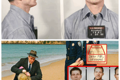 🏝️💥Alcatraz Escape Mystery Solved After 55 Years—And the Truth Is More Sinister Than You Ever Imagined!😨 What Twisted Plot and Psychological Games Were Hidden Behind the Infamous Breakout? This explosive exposé uncovers dark secrets that will haunt the nation and shatter everything you thought you knew about the “escape-proof” prison! The final piece of the puzzle is in—and it’s terrifying!👇