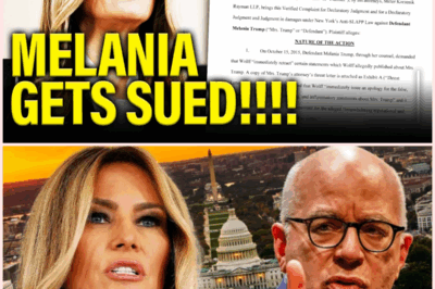 Melania Trump SUED in New York Over Shocking Epstein Claims!