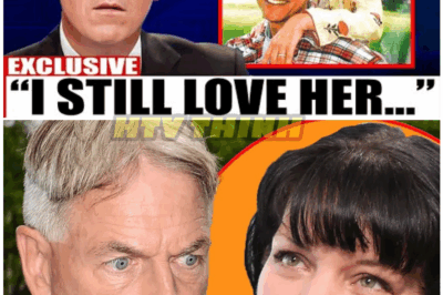🦊 “At 73, Mark Harmon FINALLY Confesses the Truth: ‘She Was the Love of My Life’ — The Secret Romance Hollywood NEVER Knew About Until Now 💔🔥”