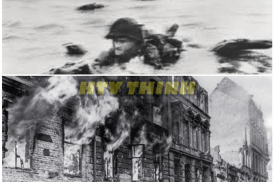 🦊 “CHILLING WW2 Footage RE-DISCOVERED: Nazi Soldiers Filmed With Captured Woman—What Experts Found 75 Years Later Left Them HORRIFIED 🎥⚠️”