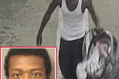 😱 He Stole a Car… Then Discovered What Was in the Backseat — The Twist No One Saw Coming in Oregon!
