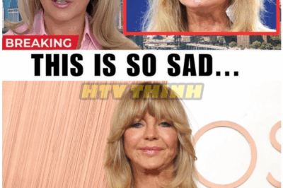 🦊 “I Carried This Pain Alone for Decades…” — At 80, Goldie Hawn FINALLY Reveals the Tragedy That Shattered Her Behind the Scenes, and It’s More Heartbreaking Than Anyone Knew 💔😭