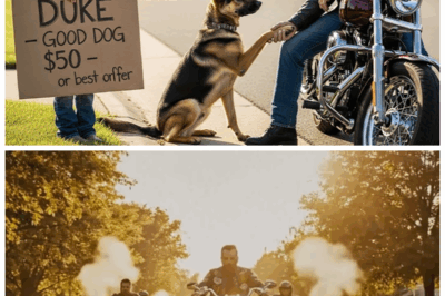 Buy Dog For Me, Sir… Mommy Hasn’t Eaten In Two Days” — Bikers Learned Who Took Everything From Her