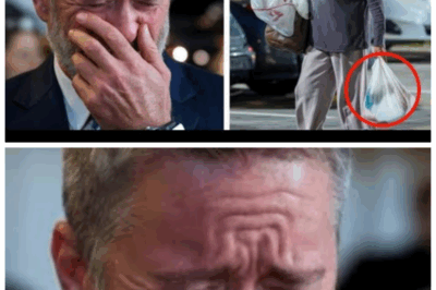 She Only Asked for Leftover Food—So Her CEO Followed Her Home. What He Saw Changed Everything