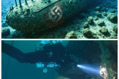 What Salvage Divers Found Inside Sunken Nazi Germany Submarine Will Leave You Speechless
