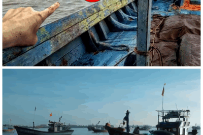 Fishermen Turn Pale When They See This Appear In The Middle Of Ocean