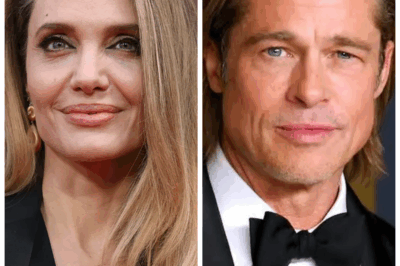 Angelina Jolie files lawsuit against Brad Pitt for compensation