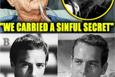 “Marlon Brando’s Final Confession About Paul Newman Leaves Hollywood Stunned”