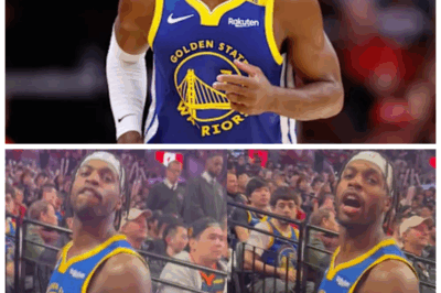 🐘 Buddy Hield’s savage reply to fan policing his language: “Fk you. I don’t give a fk!” 🔥 “When you’re on top, you don’t answer to anyone.” Witness the dramatic clash of egos and the raw emotional fallout as Buddy refuses to be silenced, turning a simple fan interaction into a viral Hollywood scandal! 👇