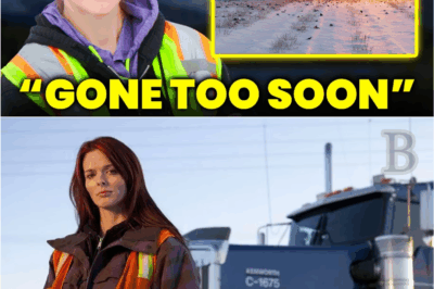 ❄️ “She Vanished Without a Trace—Now Lisa Kelly Breaks Her Silence, and It’s Not What Fans Expected”