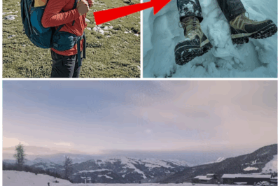 The Mysterious Disappearance of a Teen in the Swiss Alps: What Climbers Found Seven Years Later Will Shock You!