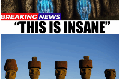 What Ancient DNA Discovered About the Moai Will Leave You Speechless: The Surprising Truth Behind Easter Island’s Mysterious Statues!