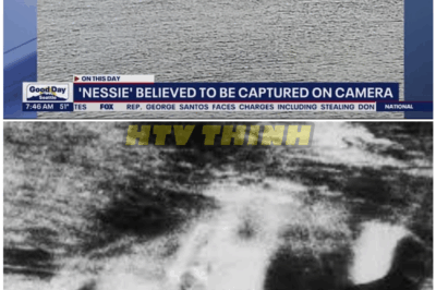 🦊 “HIDDEN TRUTH BEHIND THE LEGEND: Nessie Turns 91 — But the Real Story Behind That 1933 Photo Will SHOCK You” 🕵️
