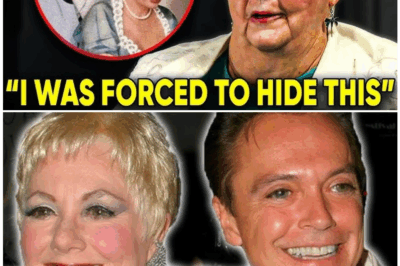 🦊 Hollywood Bombshell: At 91, Shirley Jones Finally Names the Seven Leading Men She Secretly Wanted to Sleep With — And You Won’t Believe Who’s on the List 😱