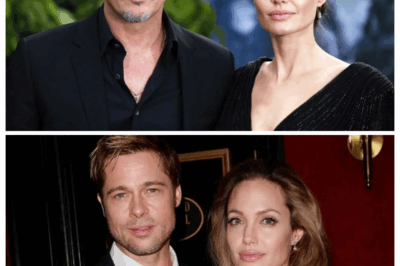 Brad Pitt reprises Angelina Jolie over property dispute