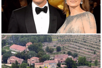 Brad Pitt ‘put pressure on Angelina Jolie’