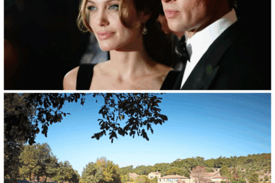 Brad Pitt Wants Court to ‘Force’ Angelina Jolie Amid Legal War