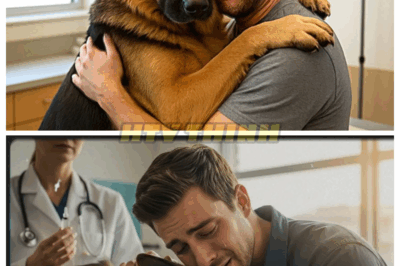 🐶 The Dying Dog Hugged His Owner for the Last Time… But What the Vet Discovered Shocked Everyone! 😭