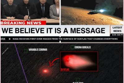 The Enigmatic Awakening of 3I/ATLAS: Is This Comet a Self-Activating Cosmic Machine?