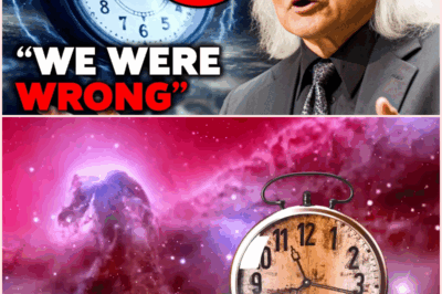 🌌💫 “The Universe Lied to Us” — Michio Kaku Exposes the Biggest Cosmic Secret of All 🔭