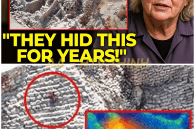 Before I Die, I Need To Tell The Truth — Eilat Mazar Revealed What She Found in the Palace of David
