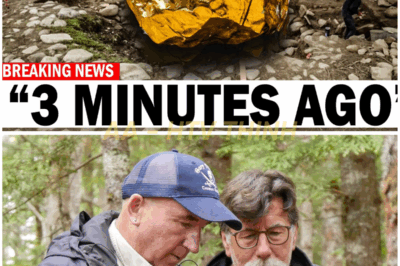 🚨 Unbelievable Breakthrough: Oak Island Team Uncovers Astonishing Find Hidden Beneath Nolan’s Cross!