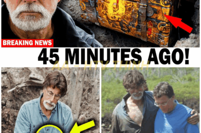 History Channel Confirms the Impossible: The Legendary Oak Island Treasure Has Finally Been Discovered